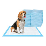 Tapete Entrenador Para Perro Absorvente Con 100 Pzs 33x45 Cm