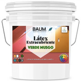Galón Latex Verde Musgo Extra Cubriente, Calidad Premium