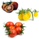 Semillas Mix Tomates Cherry - 3 Variedades -