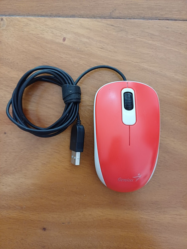 Mouse Computadora Genius Dx-110 Usb