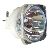 Lampada P/ Optoma Bl-fu310b Eh500 Br561 Dh1017 X600 Original