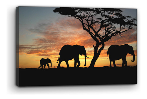 Cuadro Moderno Canvas Elefantes Savanna 80x120cm