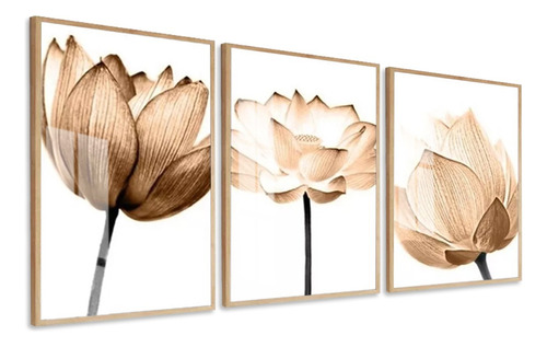 Quadros Decorativos Flores Bege Fundo Branco Com 50x70 Vidro