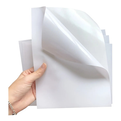 Papel Couche Adhesivo Brillante Carta Sticker 100 Hojas Color Blanco | MercadoLibre