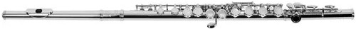 Flauta Transversal Michael Wflm30n Niquelada  + Case
