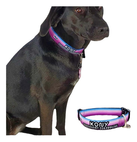 Collar Personalizado Para Perros Y Gatos