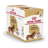 Royal Canin Pouch Dachshund, Salchicha X 85 Gs X 12 Unidades