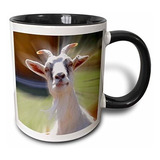 3drose Funny Curious Goat Photography Mug, 11 Oz, Black