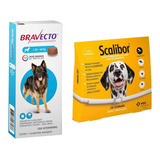 1 Bravecto Antipulgas 20 A 40kg + 1 Coleira Scalibor G 65cm