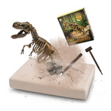 Vibirit Juego De Esqueleto De Dinosaurios, Kit De Fósiles De