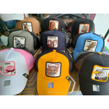 Gorras Tipo Goorin Bros Animales Marca Play New York