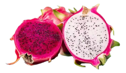 Combo De 2 Plantas De Pitahaya Blanca Y Roja 