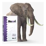 Mazuri Alimento Dieta Para Elefante 22kg