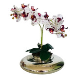 Arranjo De Orquídea Toque Real Silicone  Vaso Terrario