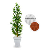Planta Bambu Da Sorte Artificial+ Vaso Decorativo Enfeite