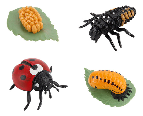 Figura De 4 Piezas De Insectos Life Cycle Plastic Brood To P