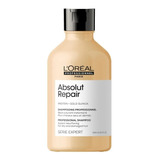 Shampoo Absolut Repair 300 Ml