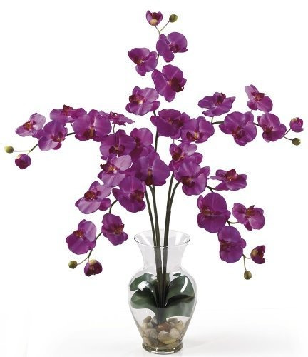 Casi Natural 1106-or Phalaenopsis Liquid Illusion Arreglo Fl