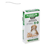 Floxiclin Comprimidos Envio 24h Tratamento Imediato Cães