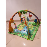 Gimnasio Rainforest Fisher Price Animales De Ma Selva Usado