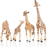 Toymany 4 Peças Estatuetas De Girafa Realistas Filhote De Gi