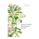 Plantas Y Arboles De Los Bosques De Chile