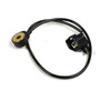 Sensor Detonacion Ford Expedition 99-14 Superduty 250 99-04  Ford Expedition