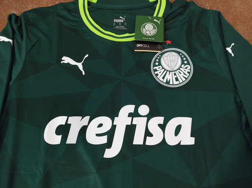 Camiseta Personalizada Palmeiras Fredditinho Fc 24