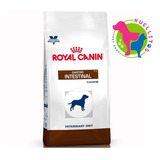 Royal Canin Gastrointestinal Perro X 2 kg-e/gratis Z/oeste