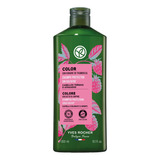 Shampoo Yves Rocher Agave 300ml