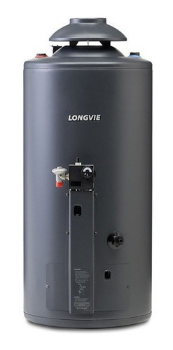 Termotanque Longvie Tp860ar Recupera 840 L/h