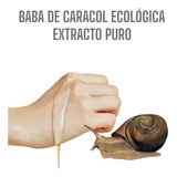 Baba De Caracol Ecológica Extracto Puro Mc Labs Certificada