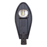 Lampara Alumbrado Publico Led 50w Suburbana Luz Blanca Color De La Carcasa Gris Color De La Luz Blanco Frío 110v/220v