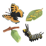 Figura De Insecto Butterfly Lore Life Cycle, 4 Unidades, Fig