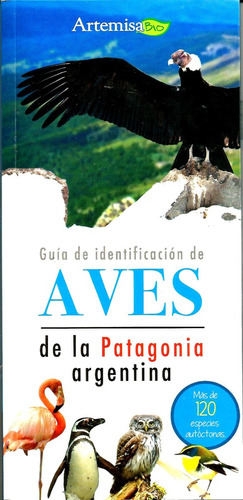 Guía De Identificación De Aves De La Patagonia Argentina