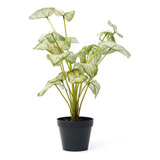 Planta Artificial Interior Decoracion Potus En Maceta 50cm