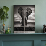 Hermoso Cuadro Elefante En Africa 20x30 Rio En La Selva 