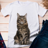Camiseta Gato Maine Coon - Dicelli