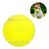 Brinquedo Pet Pegar Bola De Tênis Durável Cachorro Pequeno