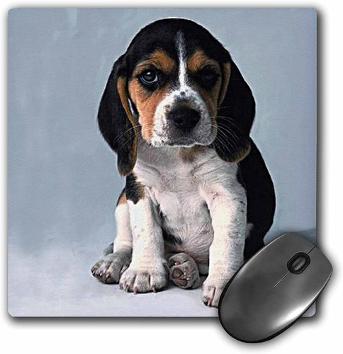 Mouse Pad Dibujo Cachorro Beagle 8 X 8 Pulgadas