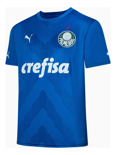 Camisa Palmeiras Oficial  Torcedor Goleiro Home Azul 23/24