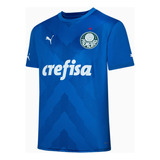 Camisa Palmeiras Oficial  Torcedor Goleiro Home Azul 23/24