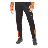 Pantalon Puma Individual Cup Negro 65829550