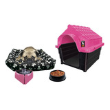 Kit Pet Casinha Colchonete Bebedouro Comedouro N3 Medio