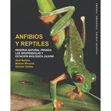 Anfibios Y Reptiles De La Reserva Natural Privada Las Oropen