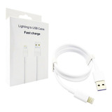 Cable iPhone Fast Charge Y Datos 1 Mt Usb-iPhone 