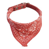 Collar Bandana Pañuelo Para Perros Gatos Chico