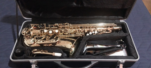 Saxofone Alto Eagle Laqueado Dourado Sa 501