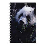 Cuaderno Espiral, Block N Panda Notebook Journal - Diseño An