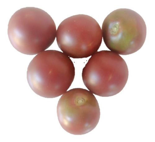 210 Semillas Mix Variedades Tomates Cherry Prosperidad